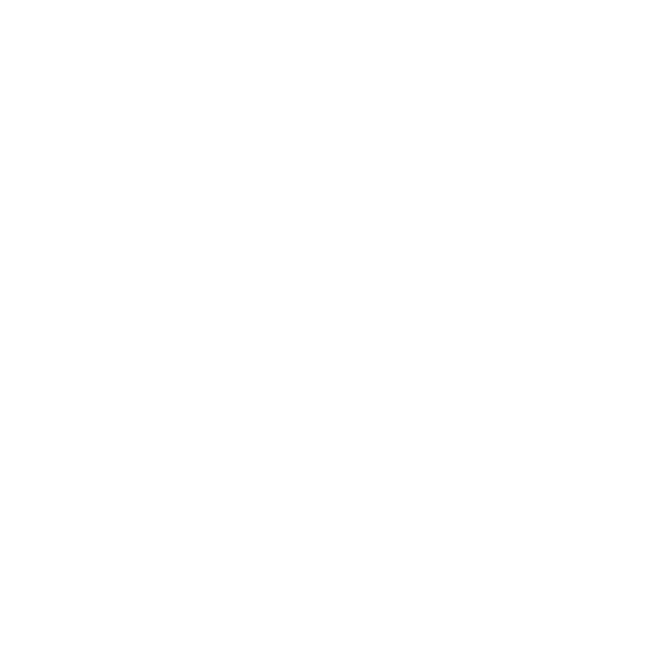 Damaged Houses